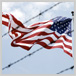 Immigration Law