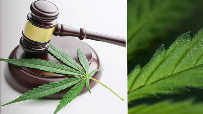 Cannabis Law 2021: Overview of current legalization, legal practice involved in Cannabis industry and federal criminal laws and penalties
