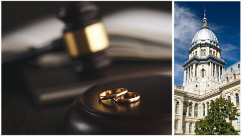 Illinois Divorce Law 101 (2021 Edition)_Flat