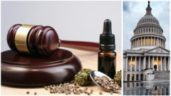 Pennsylvania Cannabis Law Updates_Flat