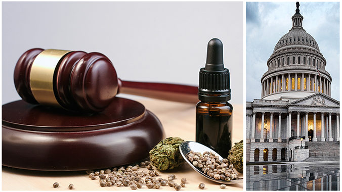 Pennsylvania Cannabis Law Updates