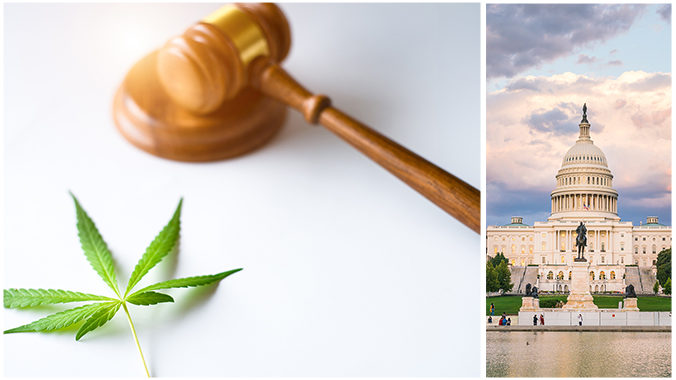 Washington Cannabis Law Updates (2021)