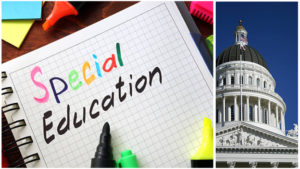 California Special Education Law 101_ Overview, IDEA, and impact of Covid-19_Flat