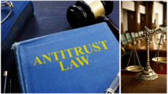 2022 Antitrust Conference_ The basics of antitrust law for the novice attorney_Flat