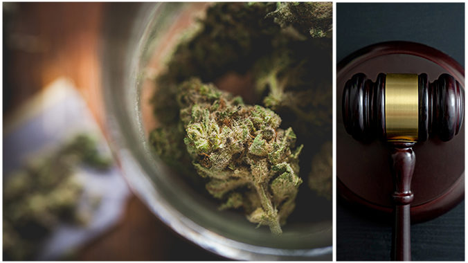 Marijuana and Synthetic Cannabinoids: High-lights of the science for attorneys