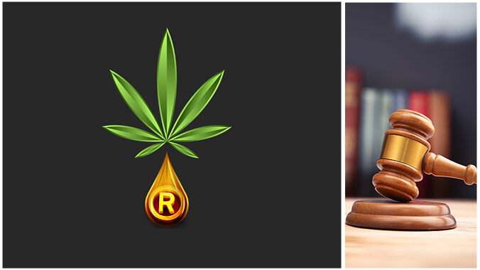 Navigating Potholes: Trademark and intellectual property protection for the cannabis, hemp and CBD industry