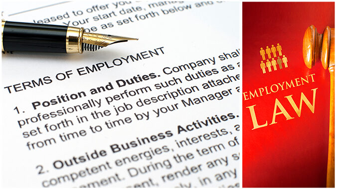 Employment Law Essentials: Best practices on hiring, disciplining, and terminating employees