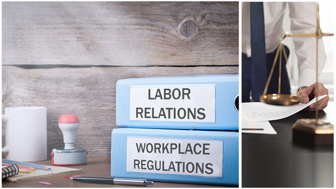 Fundamentals of Federal Statutes Governing the Workplace