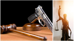 Firearms Law 101 (2024 Edition)_myLawCLE