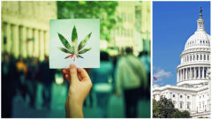 Washington State’s New Pre-Employment Drug Testing Law What employers need to know regarding off-duty marijuana use_myLawCLE