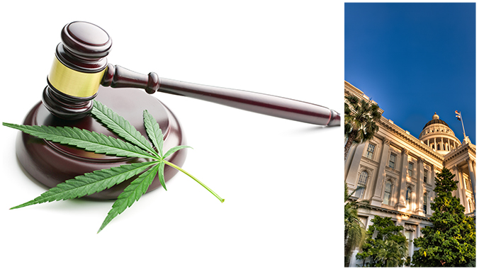California Cannabis Litigation