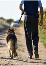 K9 Deployments During Traffic Stops What attorneys need to know_myLawCLE