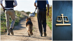 K9 Deployments During Traffic Stops What attorneys need to know_myLawCLE