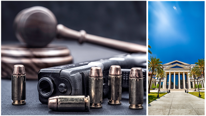 Navigating Florida's Firearm Laws: A comprehensive guide for attorneys)