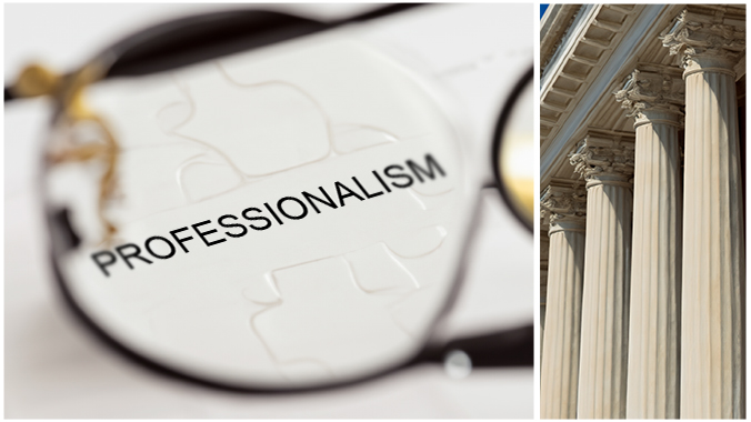 Professionalism: The rules and some new ideas (2024 Edition)