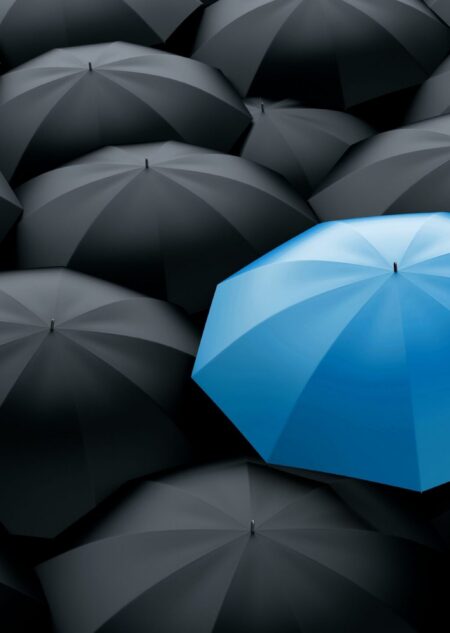 LLCs in Estate Planning: Tax Law Implications, Structuring Agreements, and Corporate Transparency Act Compliance