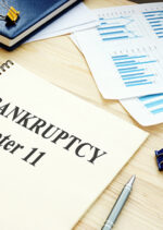 product_img_Chapter 11 Bankruptcy 101
