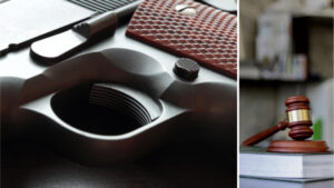 product_img_Understanding Firearms Law