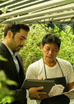 product_img_Attorneys Advising Cannabis Businesses