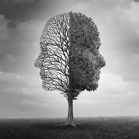 The Best Use of Forensic Psychiatrists and Forensic Neuropsychologists in Probate Litigation: Addressing Questions of Testamentary Capacity, Contractual Capacity, and Undue Influence