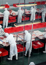 Animal Welfare Under Scrutiny: How Slaughter, Handling, and Labeling Laws Are Transforming Food-Production Liability - On-Demand Video