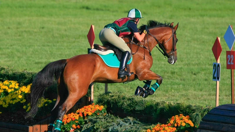 Equine Law Essentials: Liability, Business Protection, and Growth Strategies (2026 Edition)