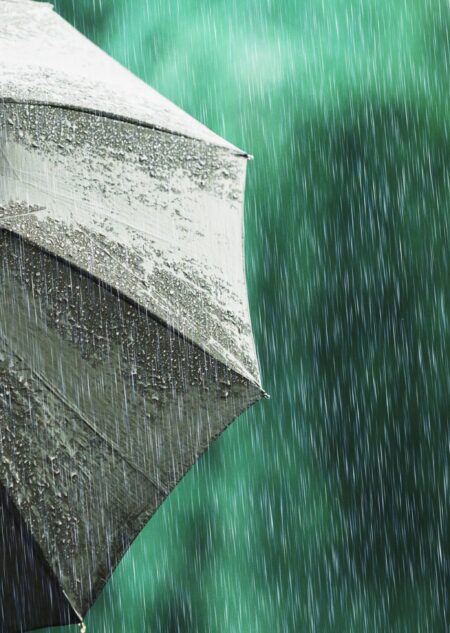 Environmental Insurance Trends: What Every Professional Should Know (Presented by The Federal Bar Association Professional Government Contracts Section)